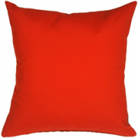 Outdoor Pillow NP - P01